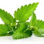 foods to reduce belly fat2