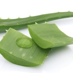 Aloe